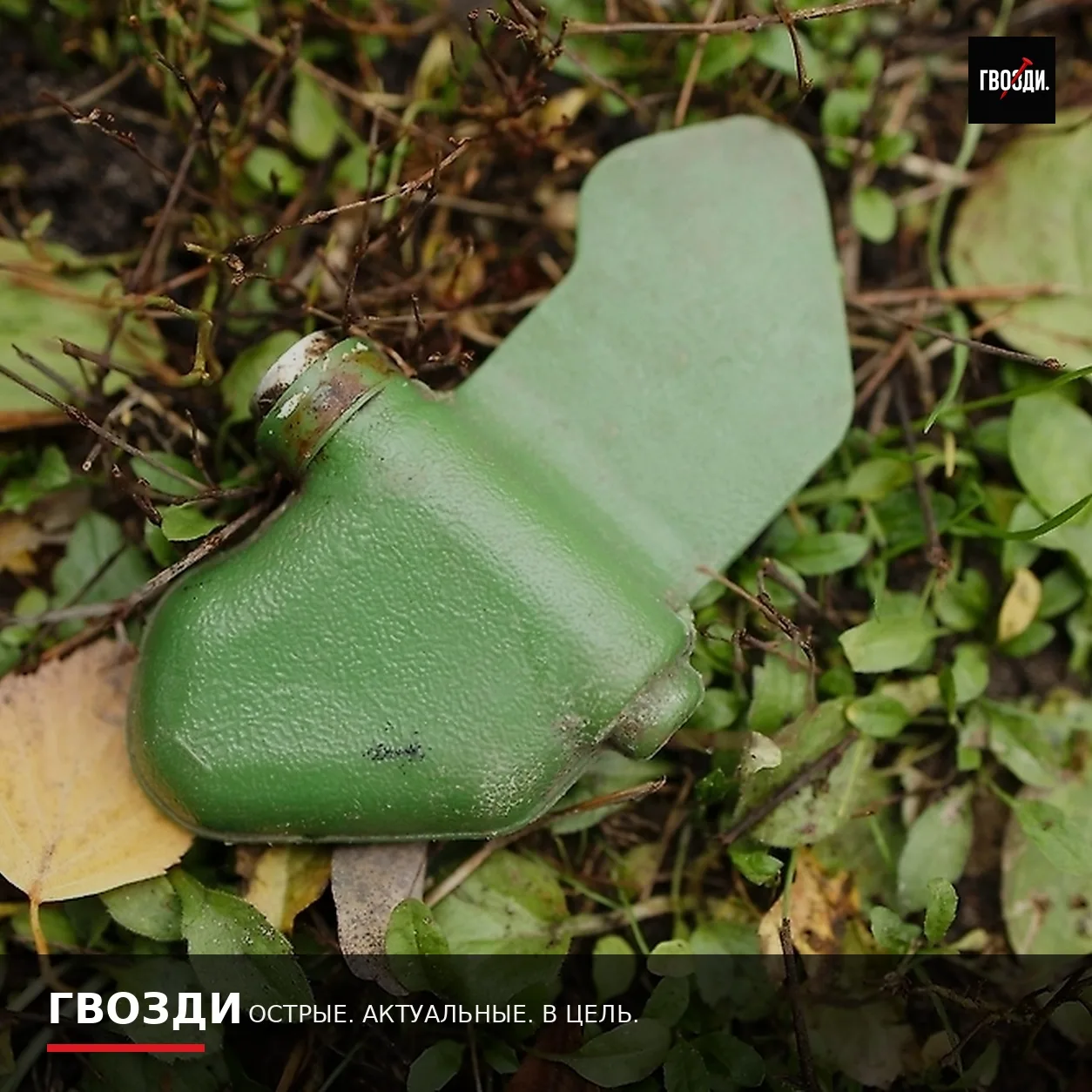 В Брянской области мирный житель погиб при подрыве на сброшенной с БПЛА мине