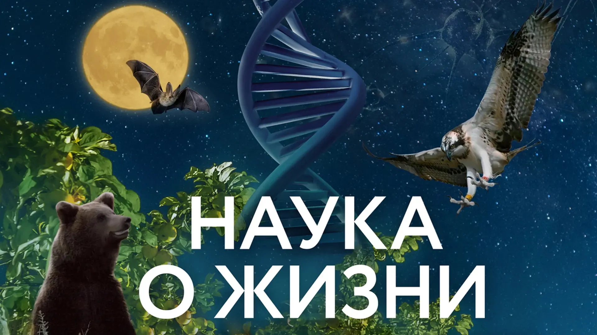 🌿 КИНО, ПРИРОДА И НЕМНОГО НАУКИ