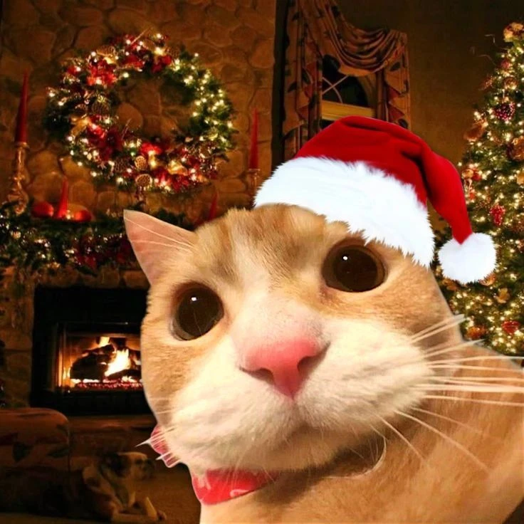 🎄 Праздничная милота