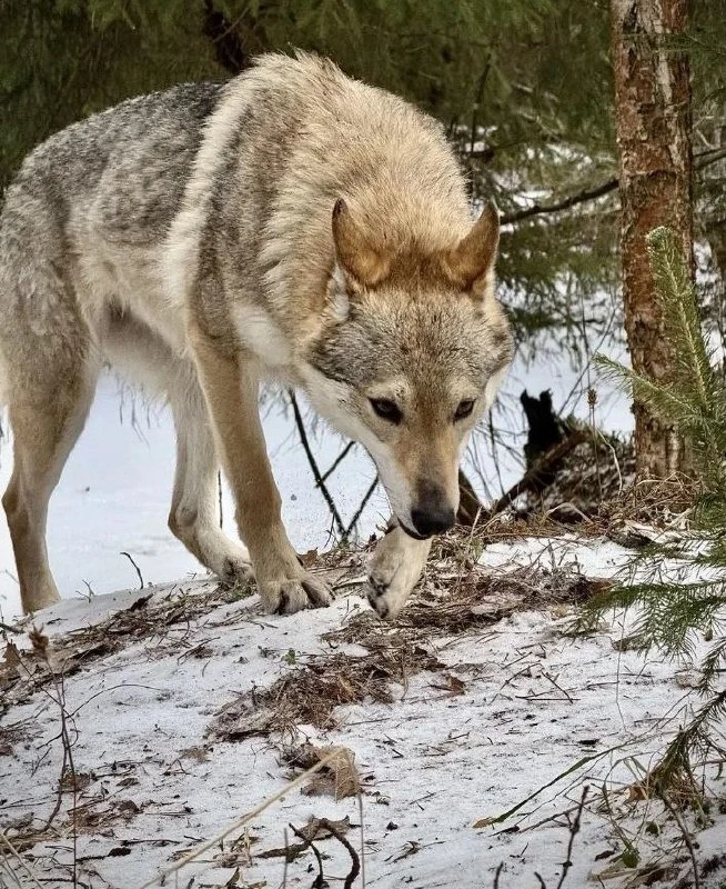 #МО