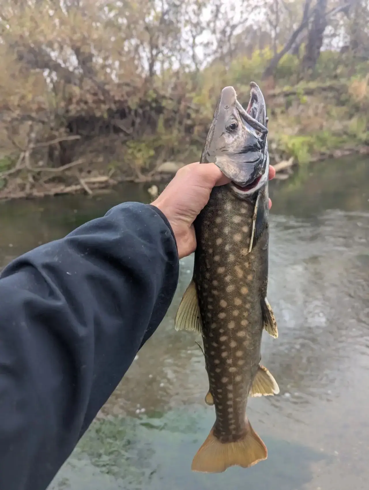Сегодня где-то Долинский район, утрянка🔥🎣,
