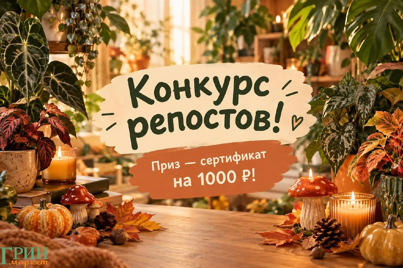 🍂 КОНКУРС РЕПОСТОВ