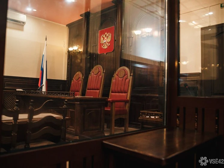 В Новокузнецке осудили 49-летнего водителя, из-за которого тяжело пострадала 4-летняя д...
