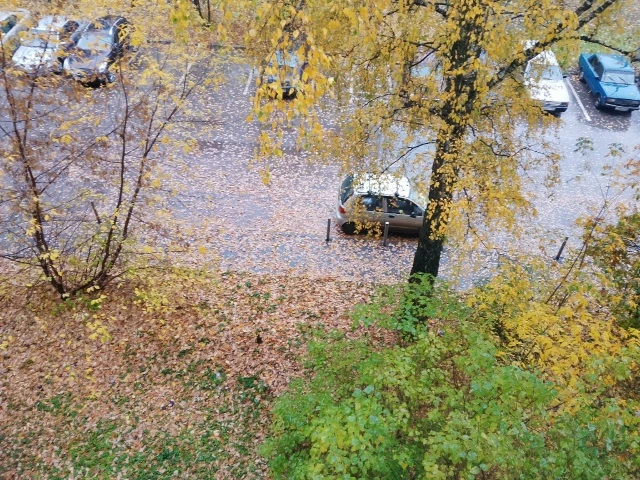Советская улица дом 2 А позади дома под балконами . Всё в листве . 🍃 Почему не убирают...