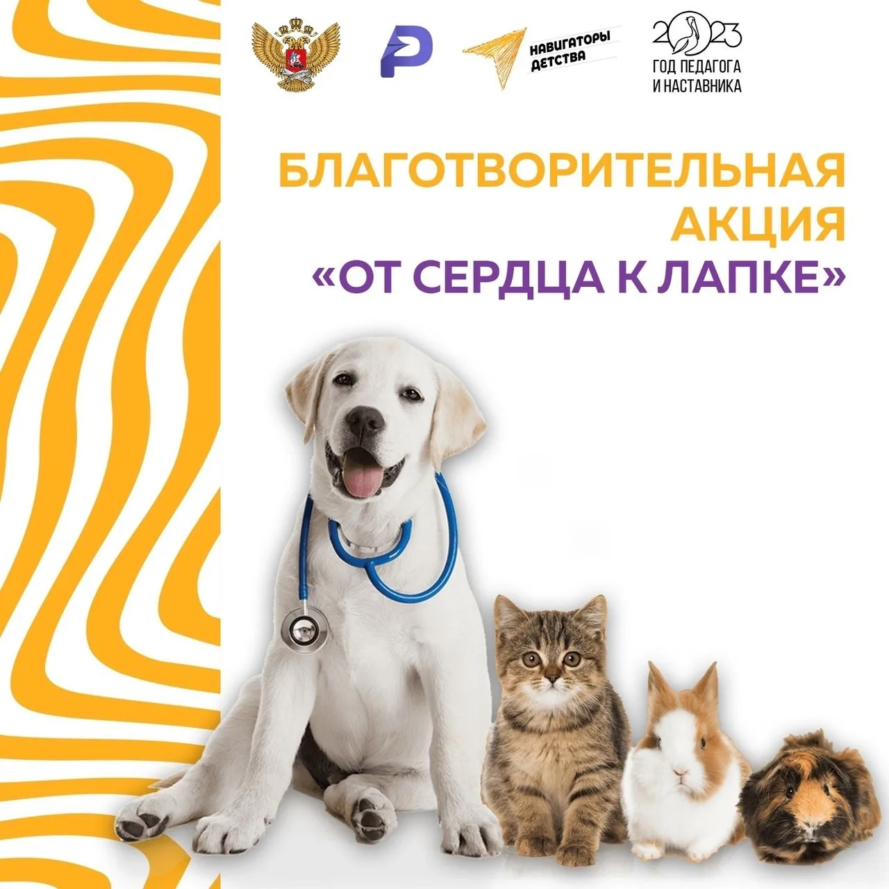 От сердца к лапке