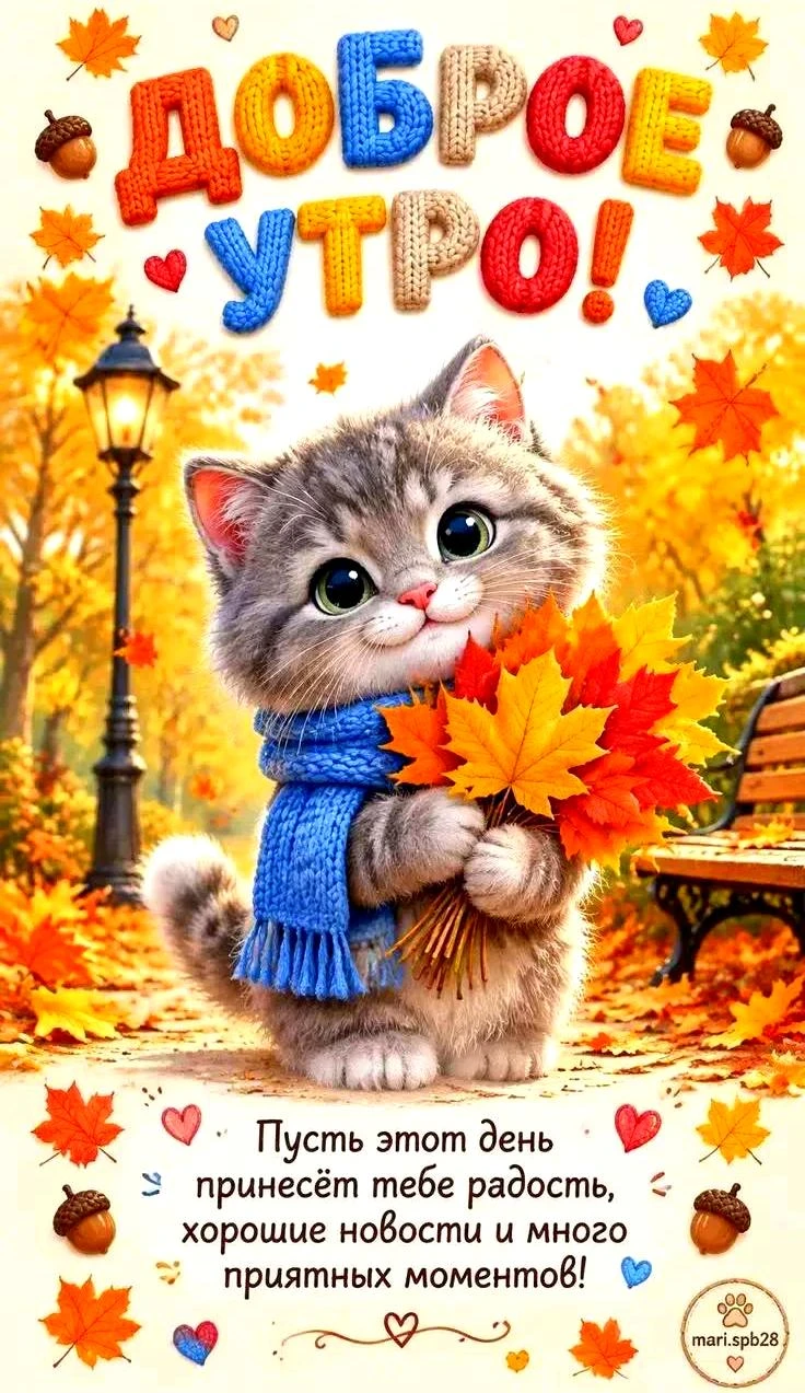 Милые открытки 😊 подписаться