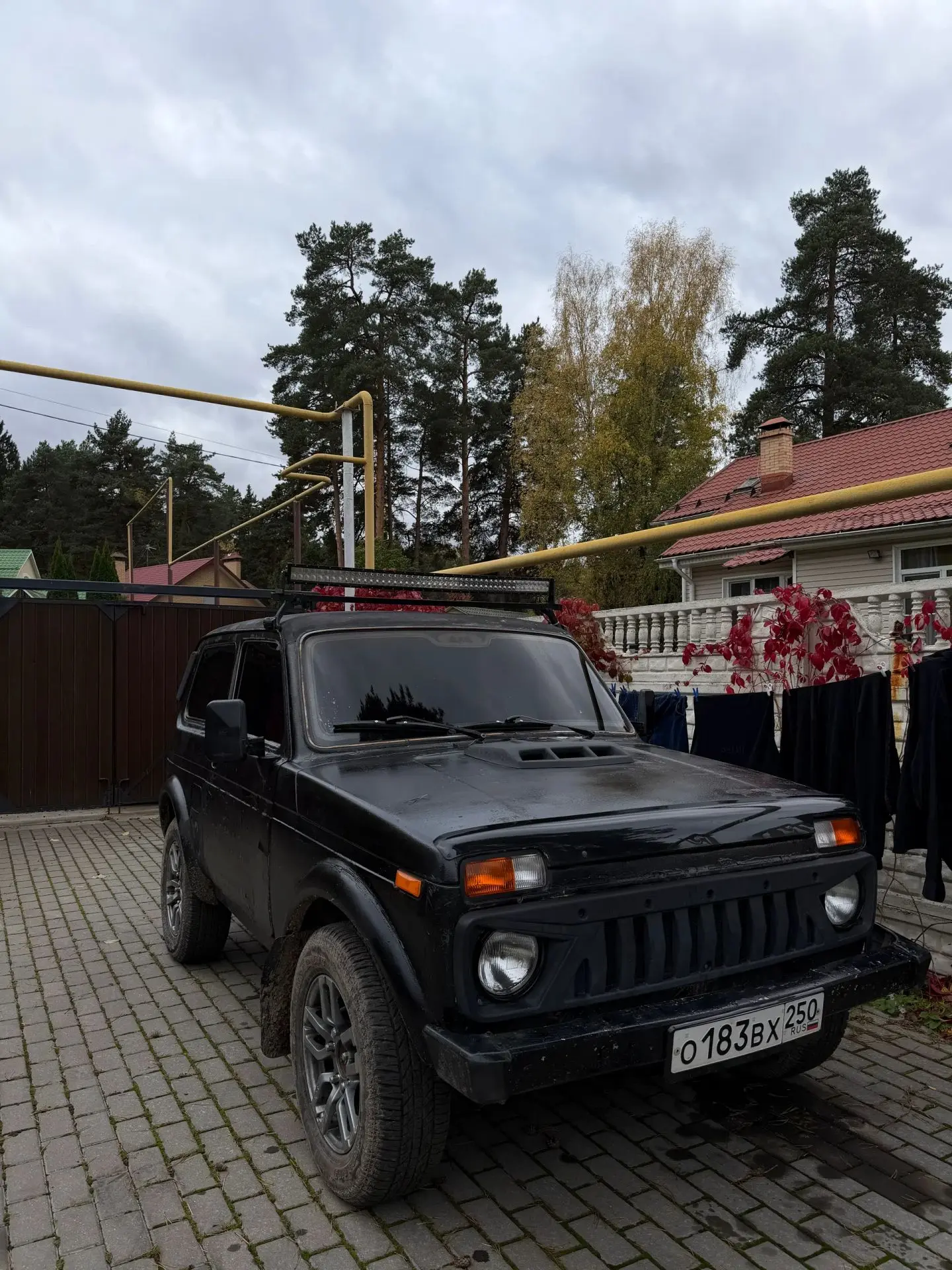 Живая нива,на полном уверенном ходу✅
