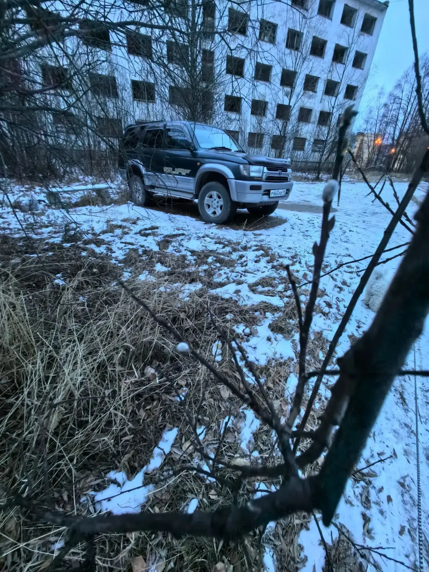 Вербы распустились пишут подписчики... Потепление небольшое.