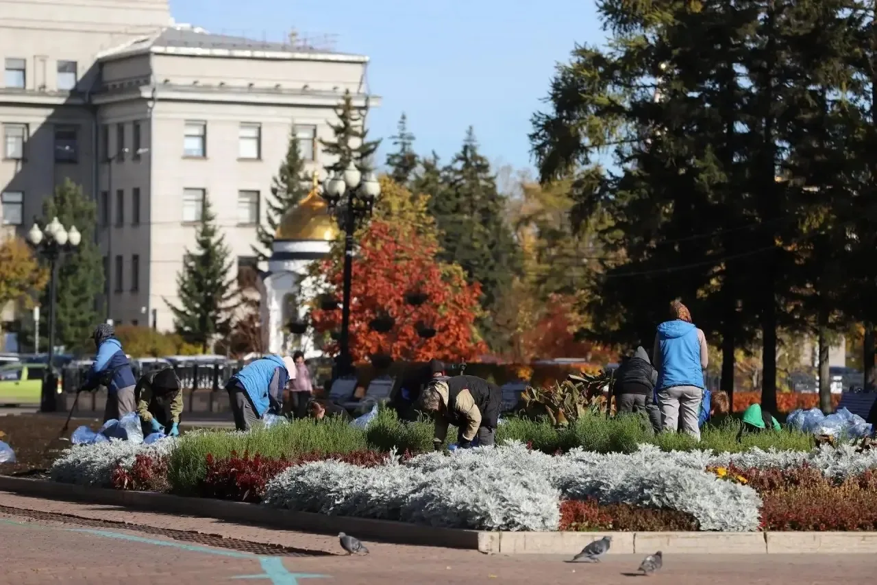 🌿До новых цветочных встреч! В Иркутске завершают уборку однолетников с городских клумб.