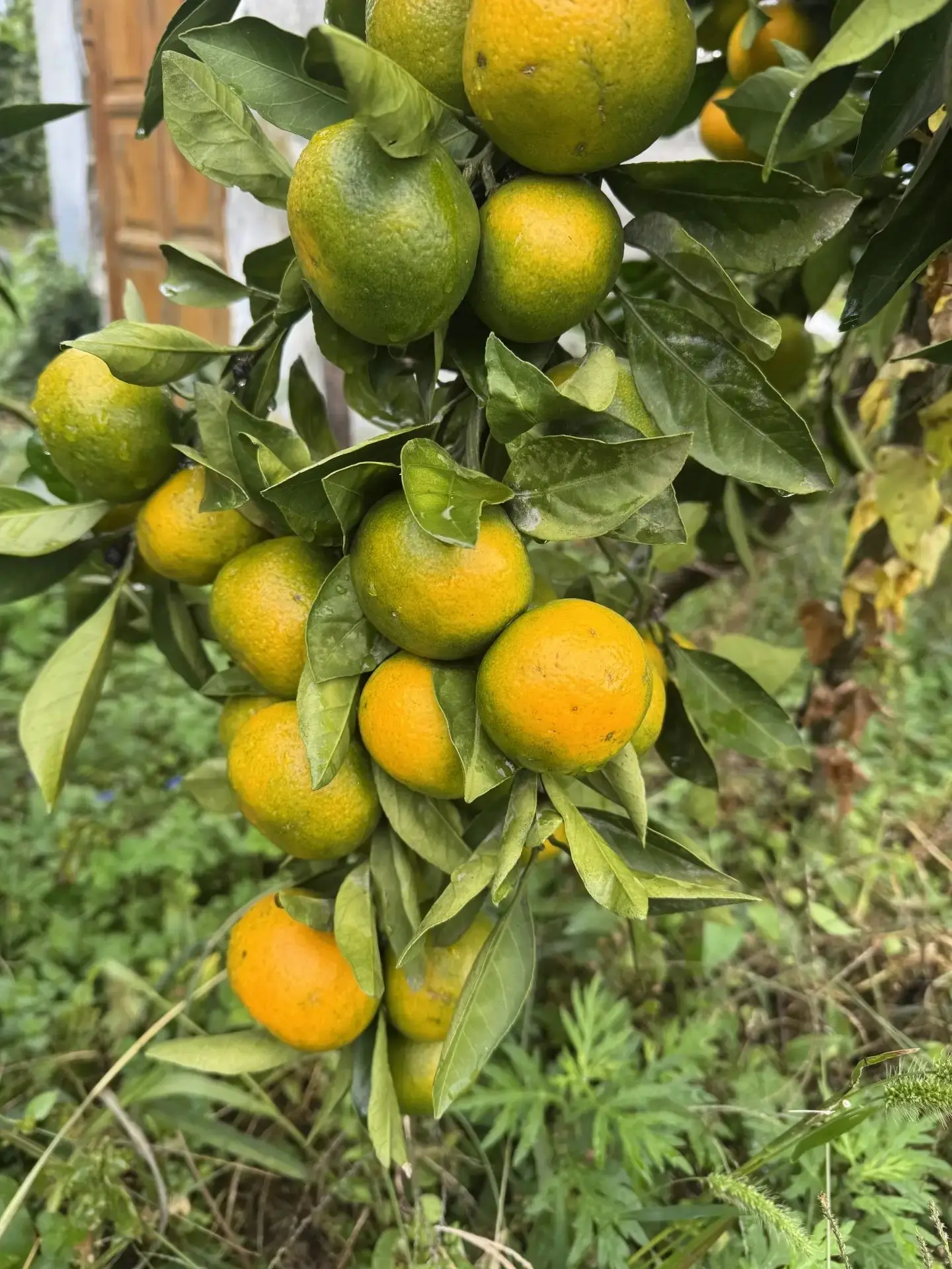 От подписчика Георгий