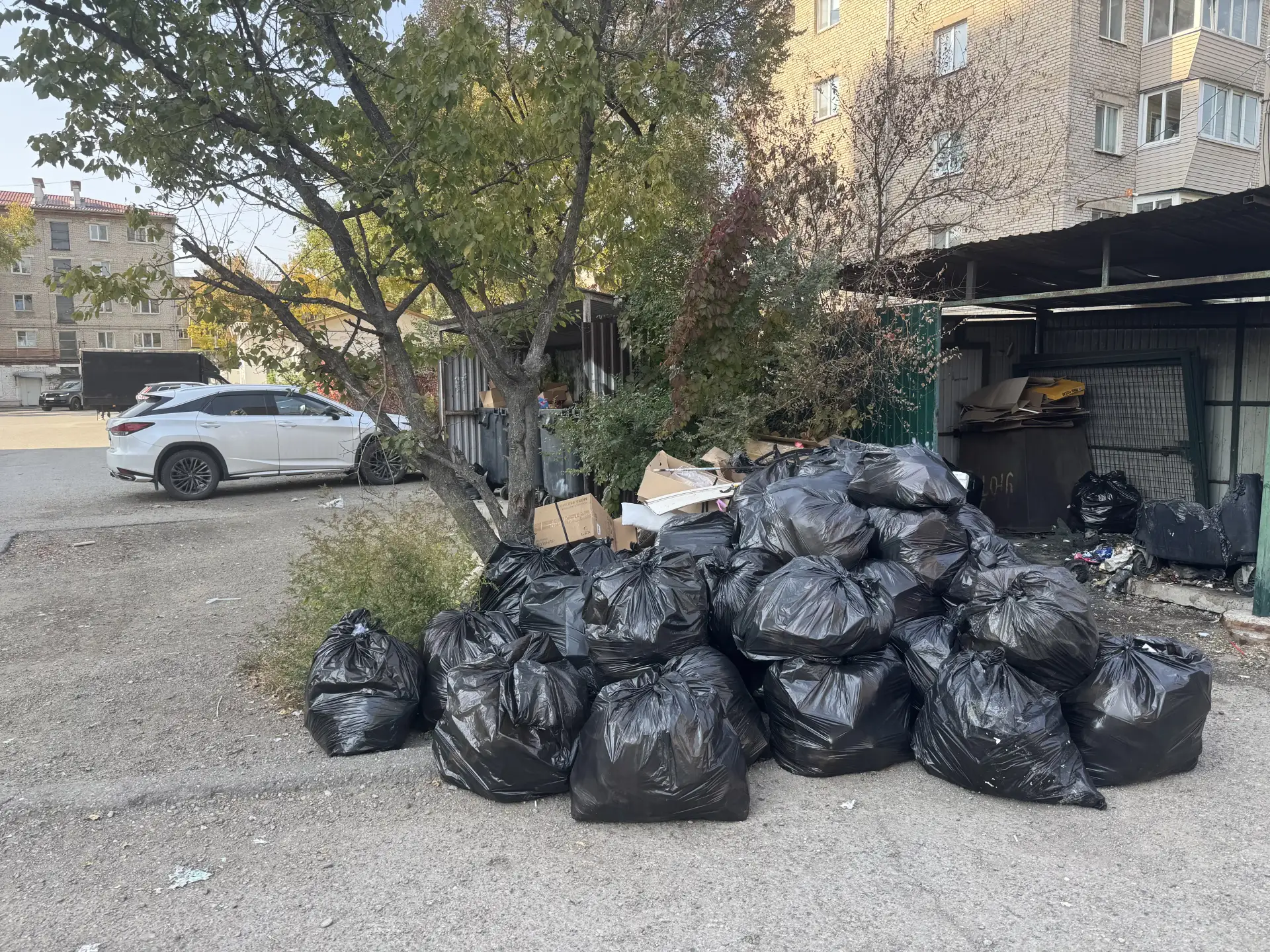 🗑 Гора мусора на Крестьянской — и это центр Уссурийска!