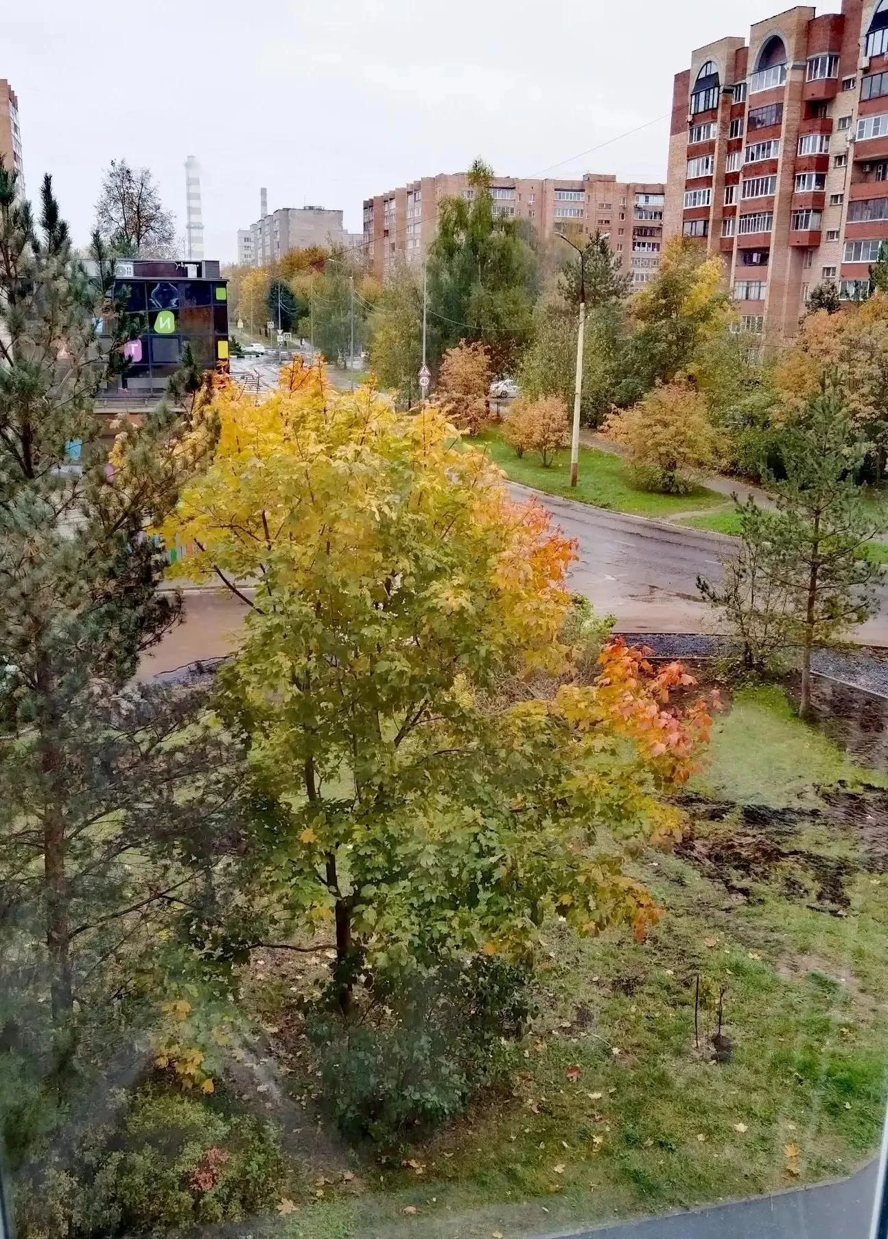 Хочу, но сомневаюсь🤔