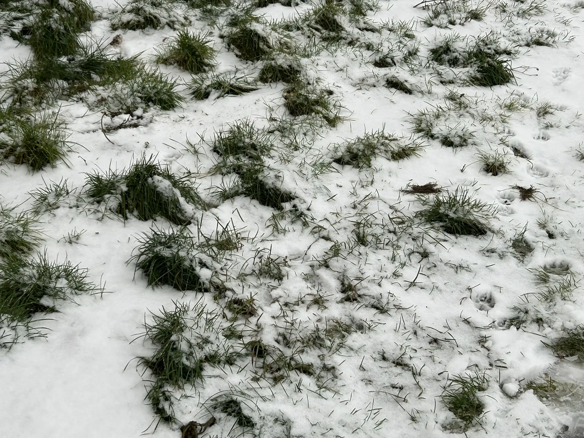 Первый снег в Уренгое ❄️