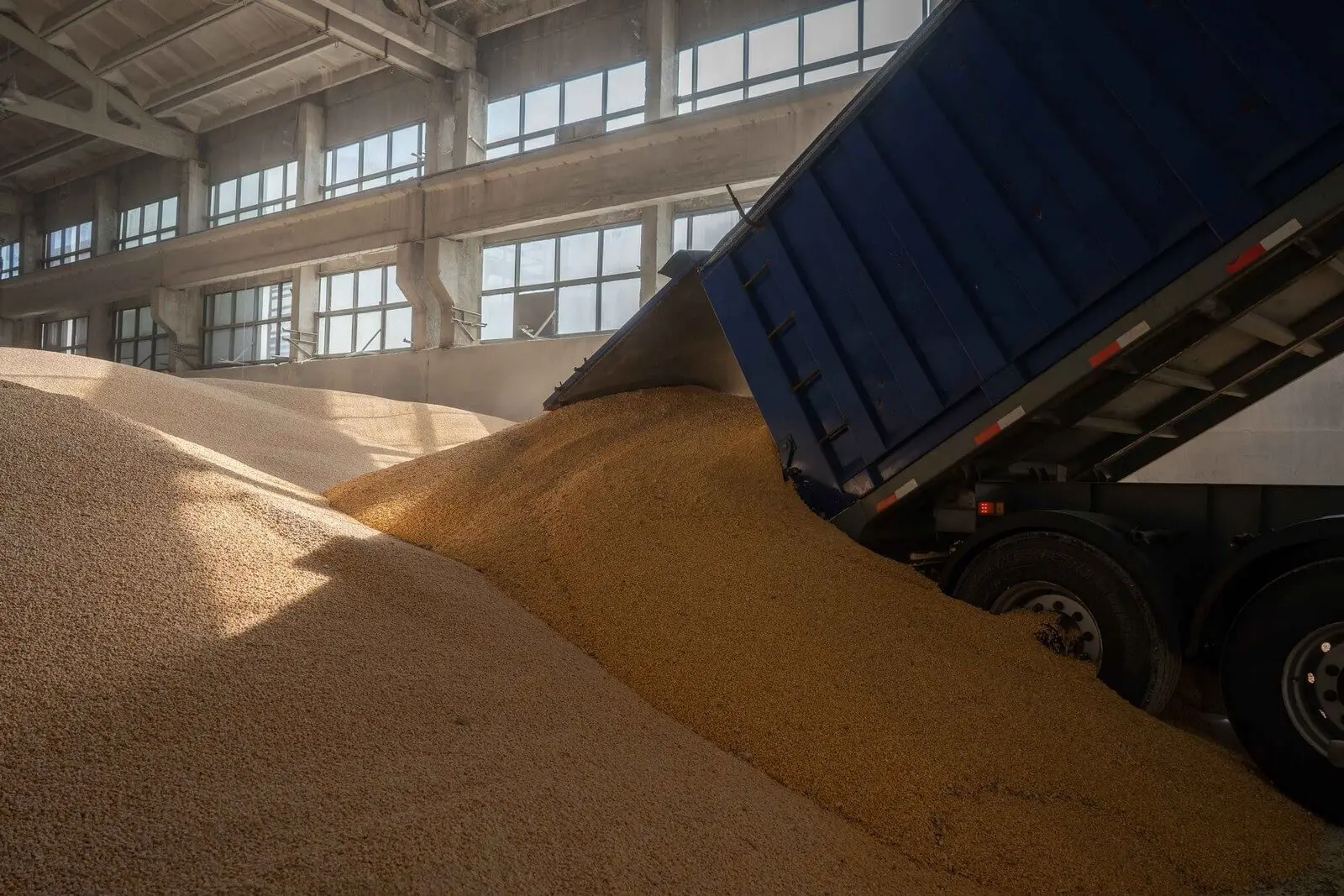 Донским аграриям всё сложнее продавать зерно