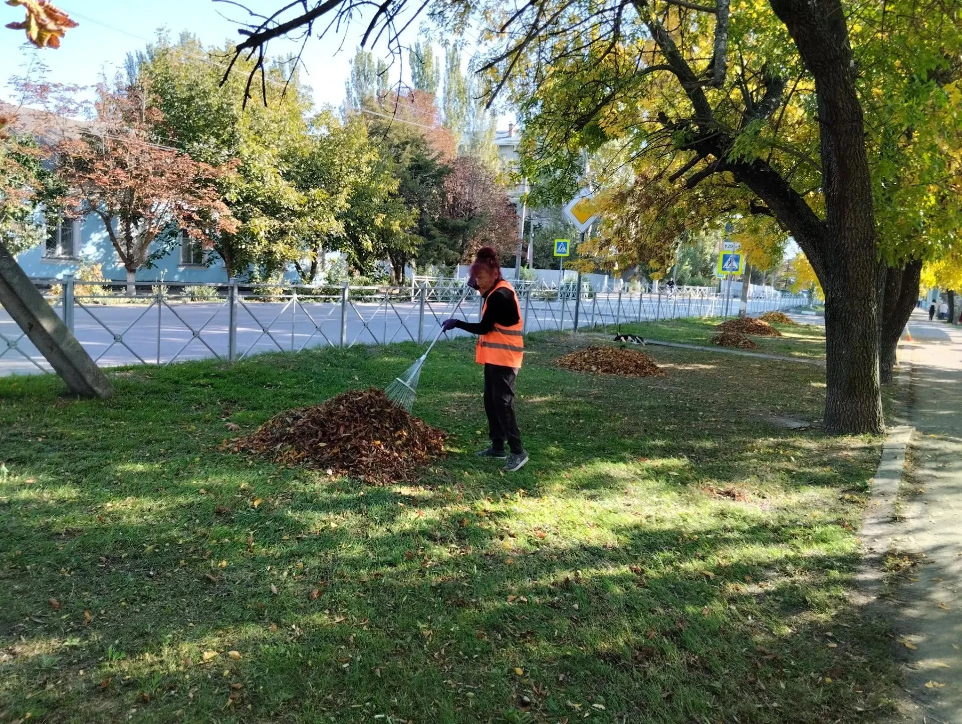 🍂 В Скадовске продолжаются плановые уборки опавшей листвы
