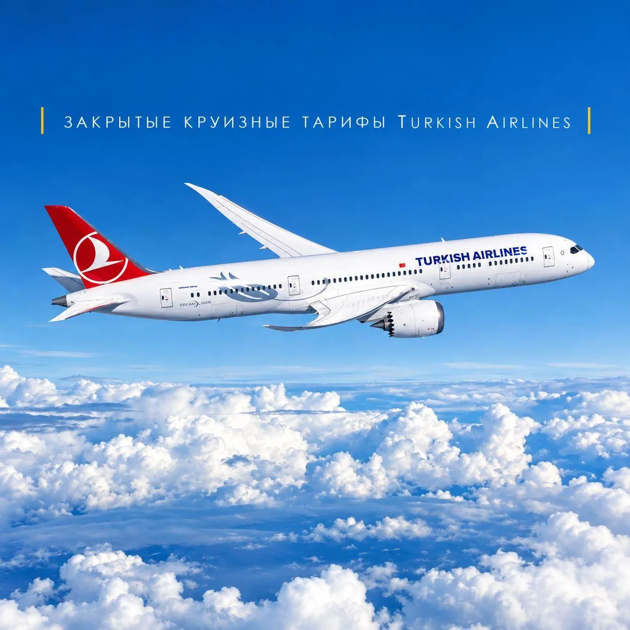 ✈️ Такие билеты не найти даже на сайте Turkish Airlines.