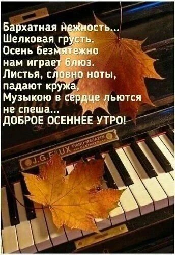 ДМШ49 желает всем хорошего осеннего выходного дня!😉🎶🍁