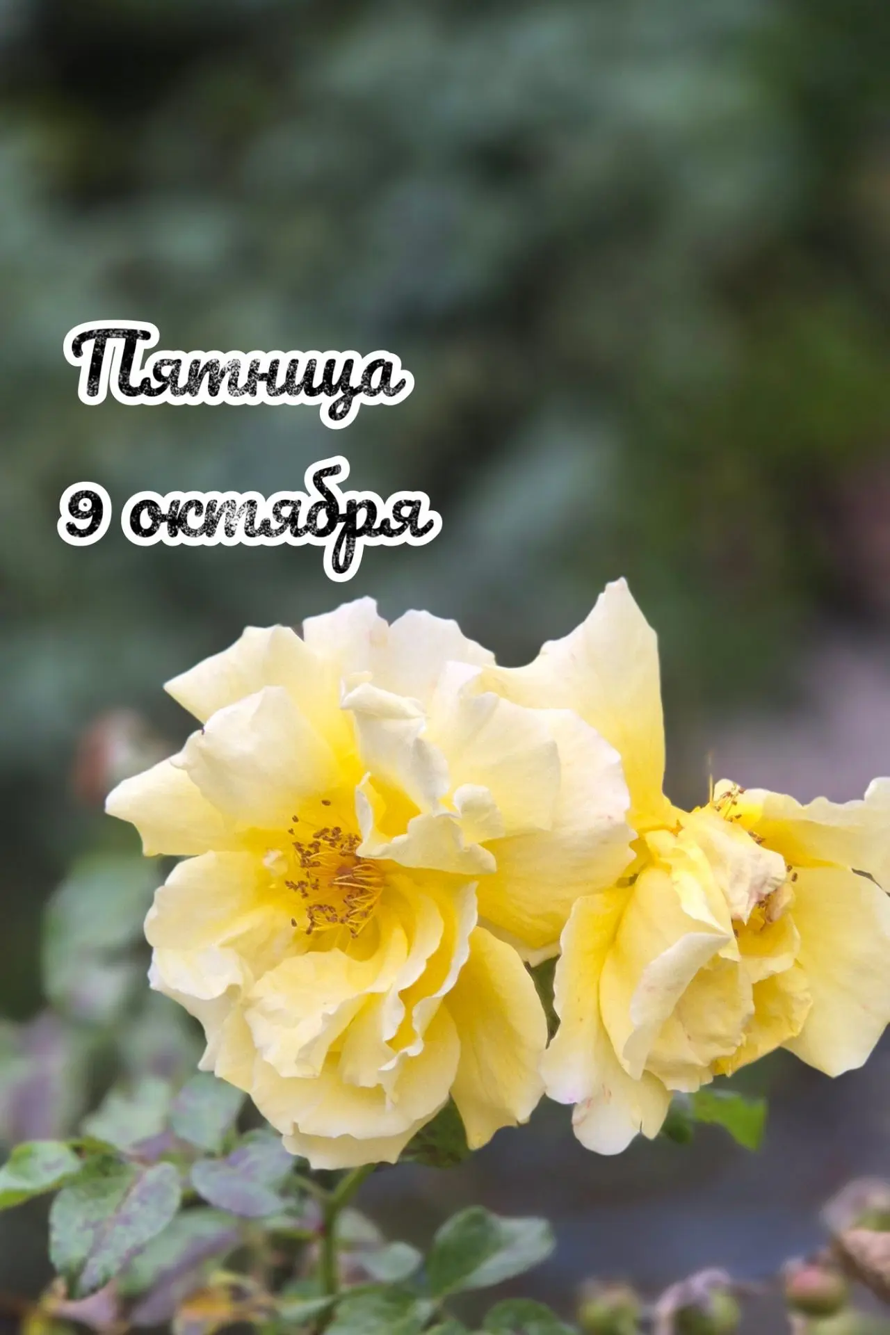 📅 Пятница, 9 октября: день разрушения