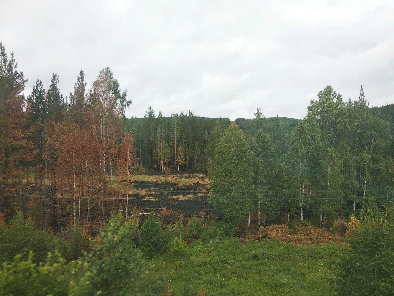 Житель Тюменской области обвиняется в причинении смерти по неосторожности во время охот...