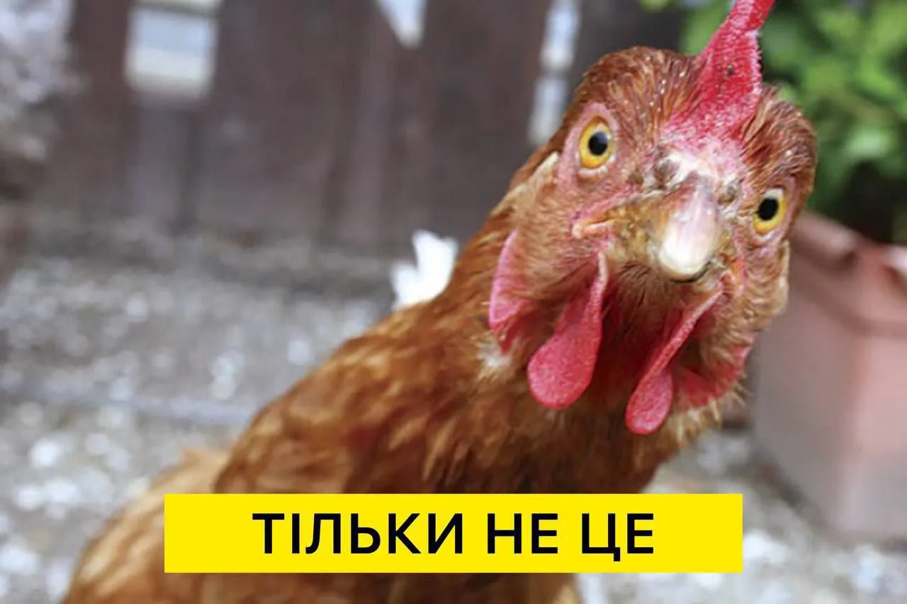 Солдат ВСУ когда узнал что его отправляют на восточный фронт