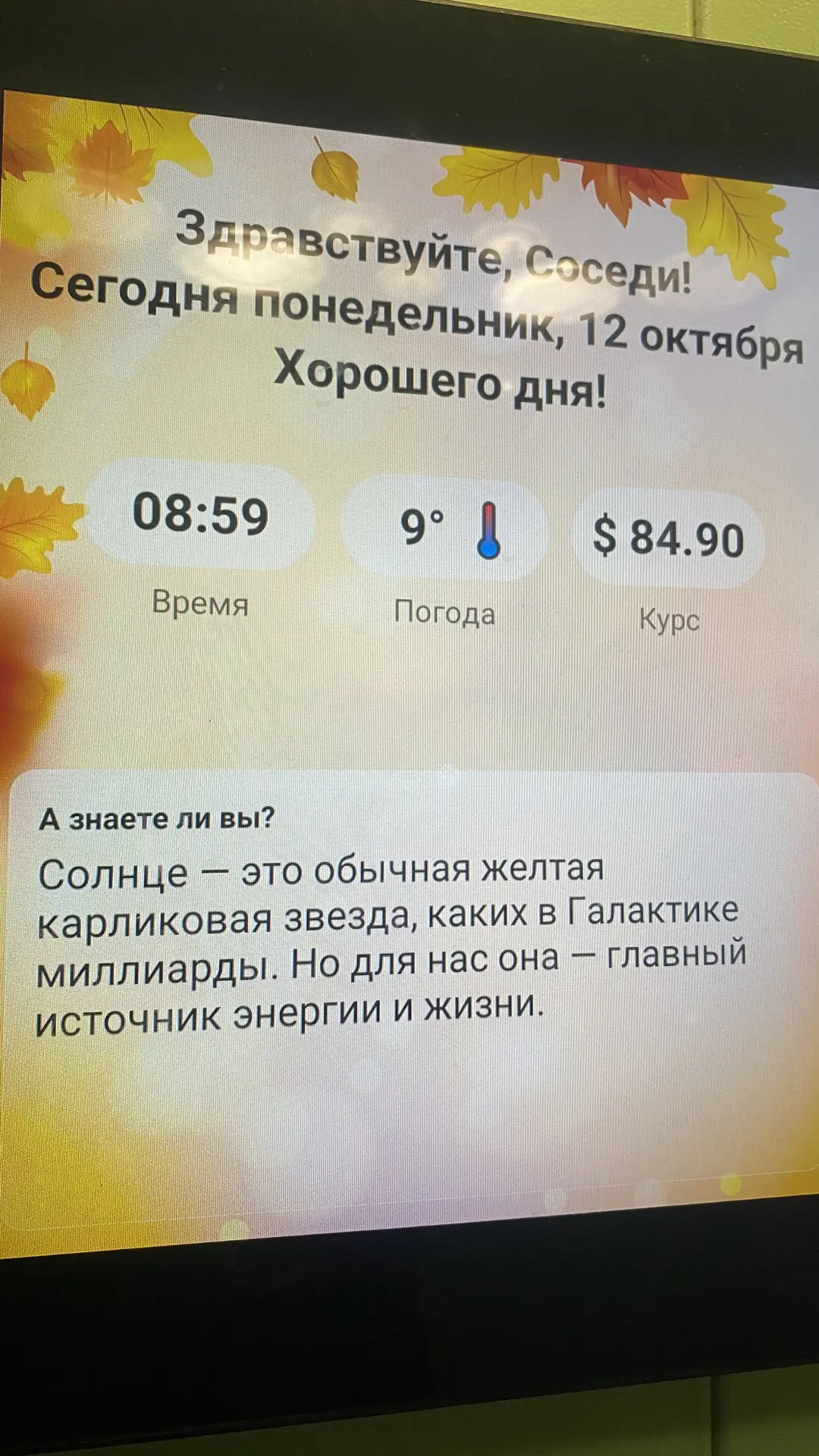 Сегодня с утра пошла гулять с собакой и в лифте обнаружила замечательную фразу. Казалос...