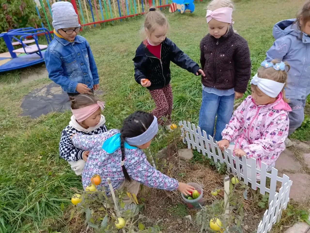 Ура, урожай собран! 👏
