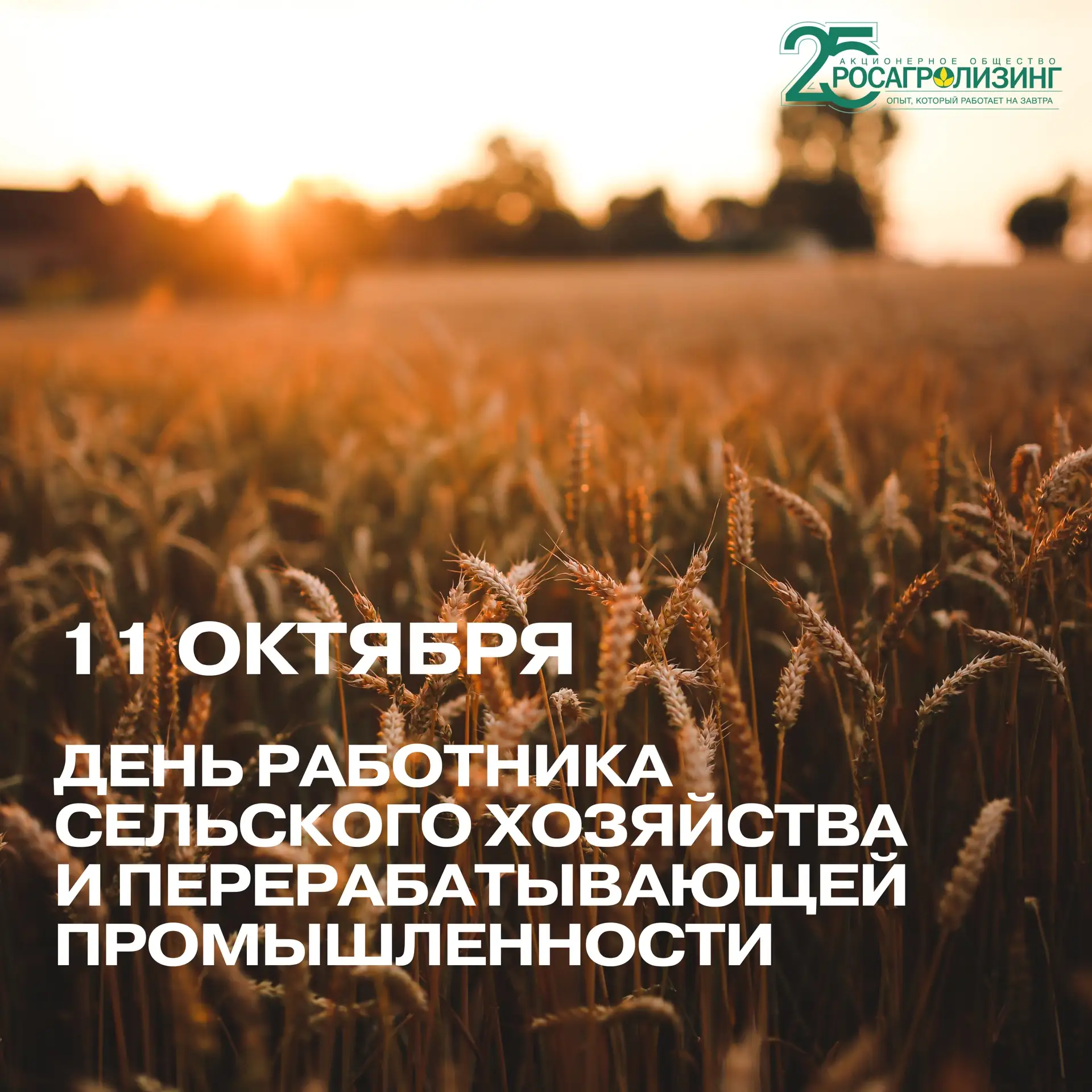 Сегодня поздравляем всех, кто каждый день работает на земле, выращивает урожай, развива...