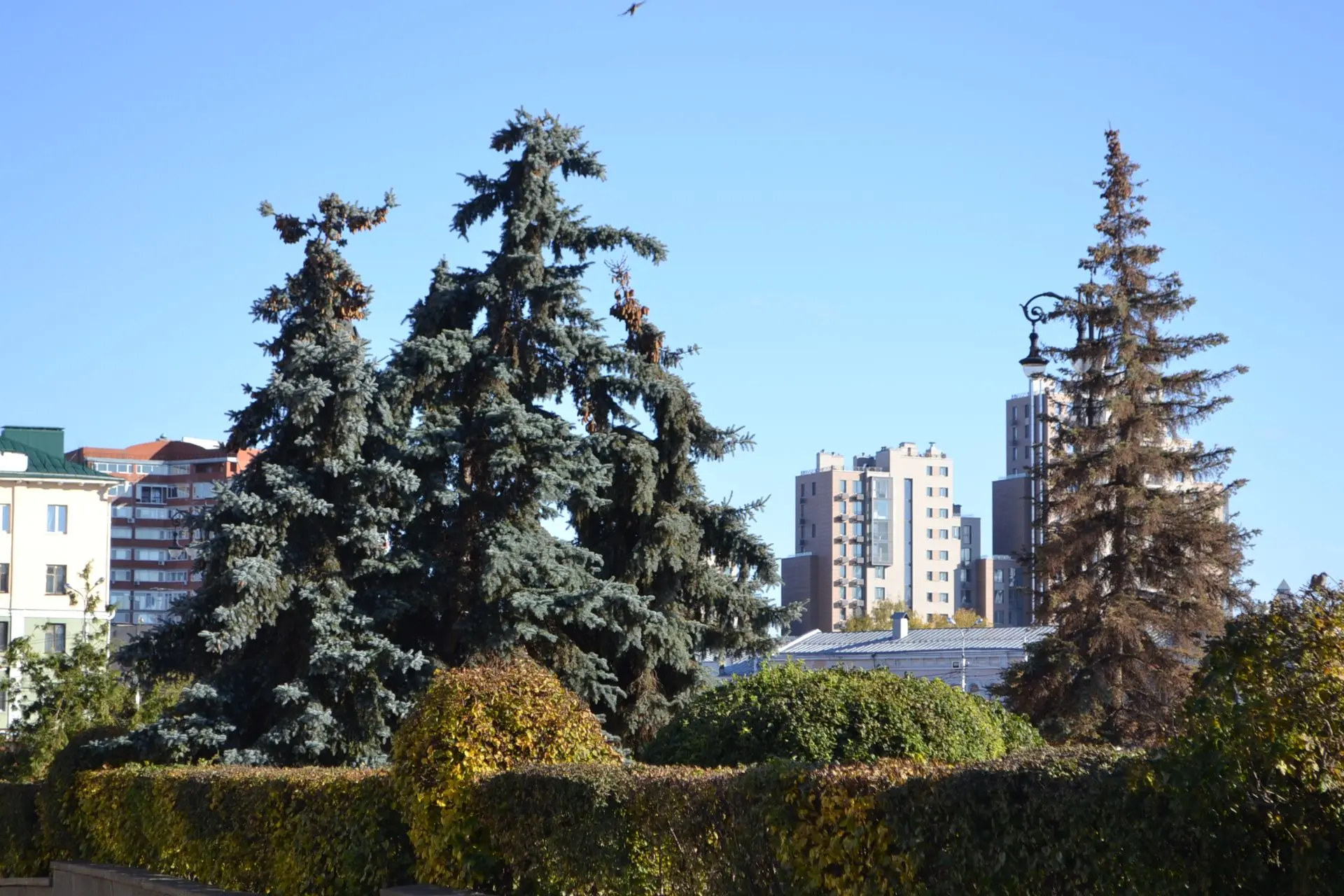🌞🍁Антициклон подарит Пензенской области еще одну теплую неделю