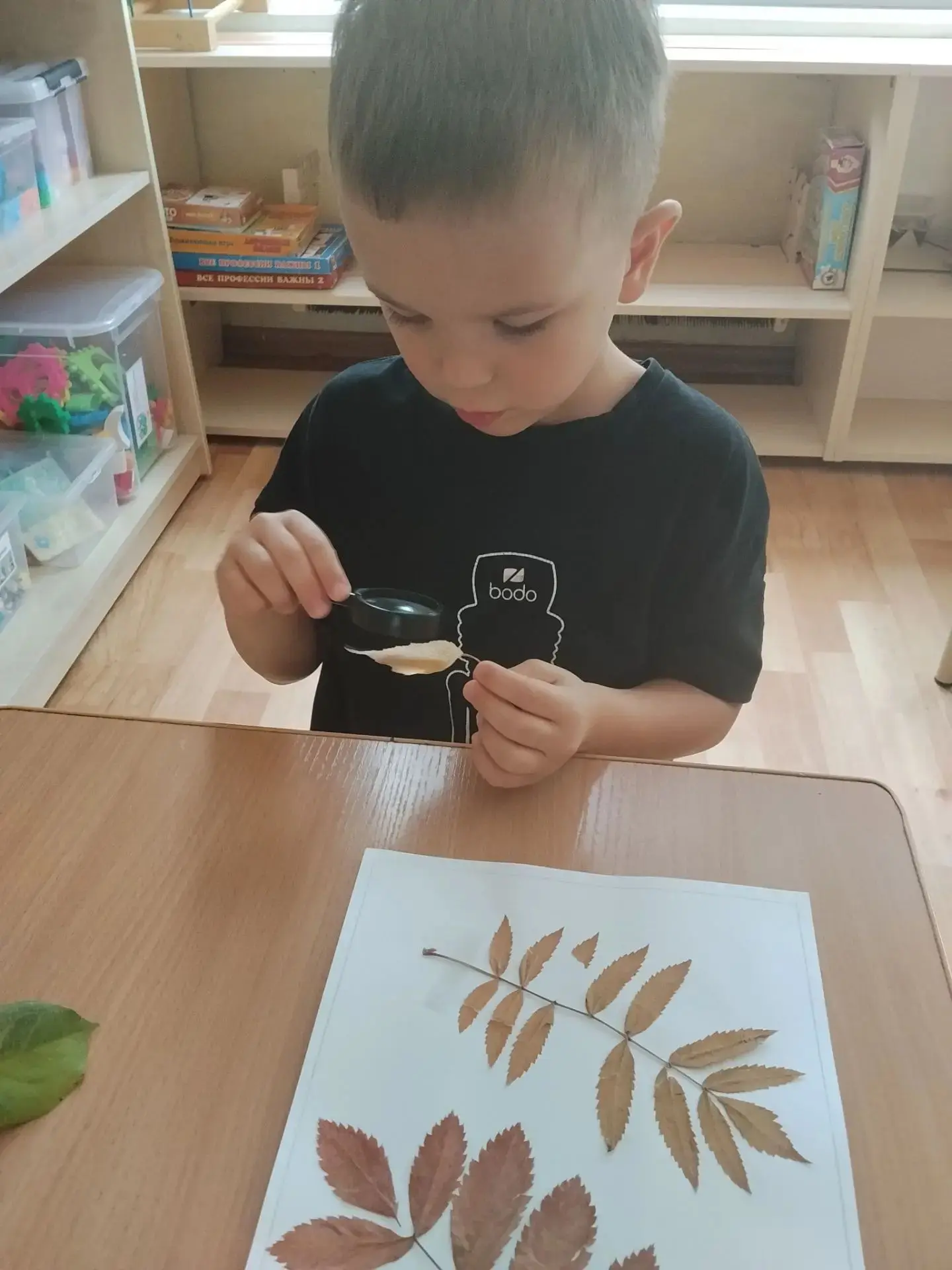 Как заметить прекрасное в обычном листочке? 🍁🍁🍁