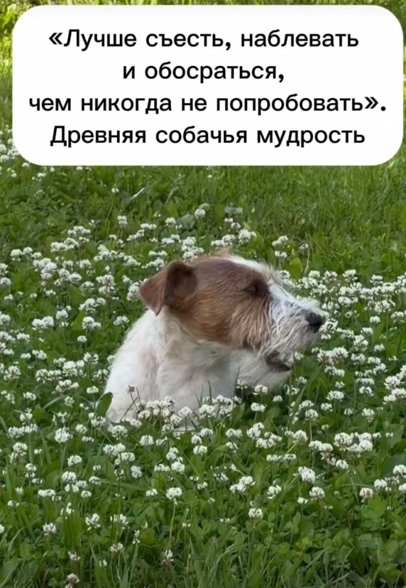 Всем привет!