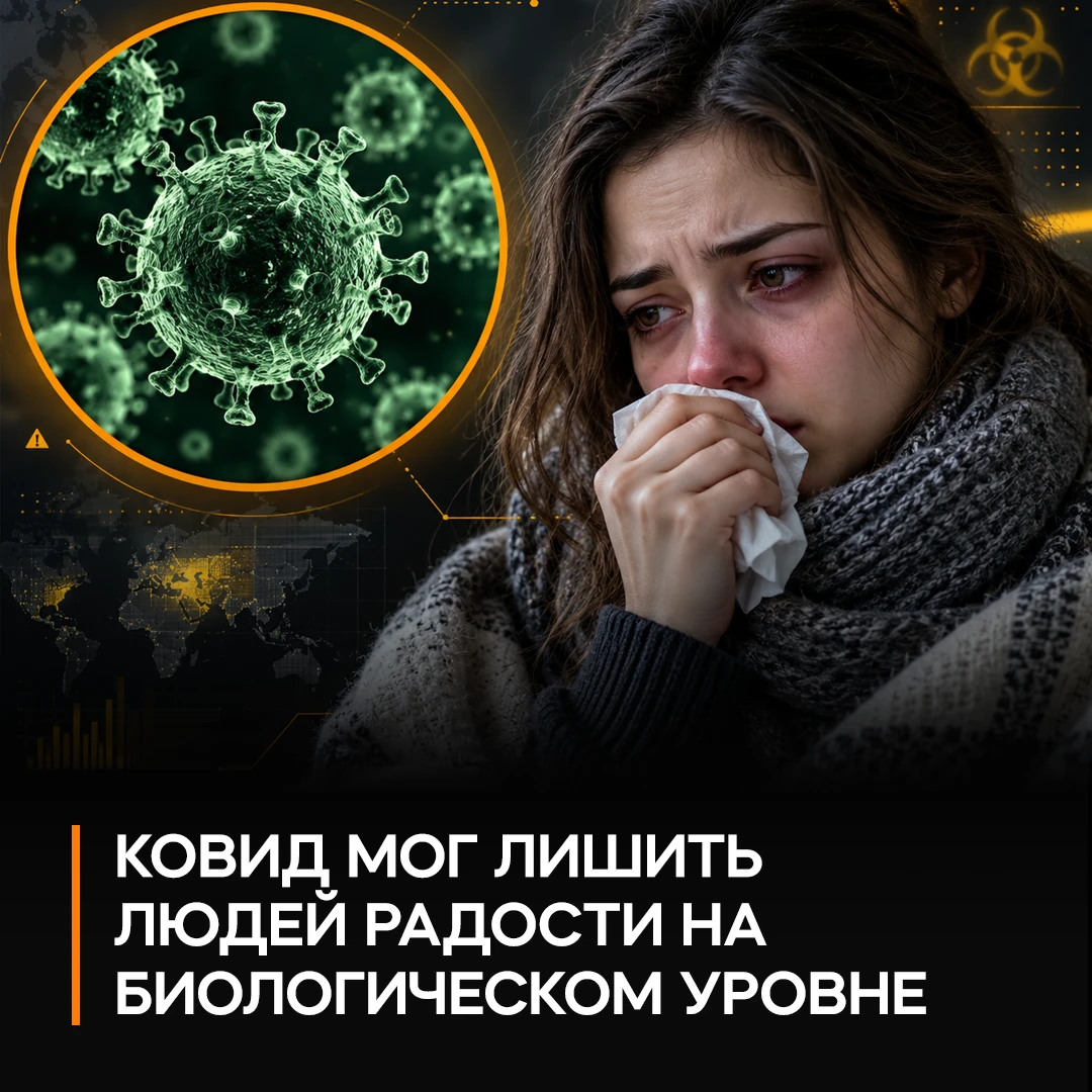 🦠 Учёные связали перенесённый COVID-19 со снижением чувства удовольствия и мотивации