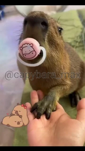 Абсолютно очаровательно! 🥹💗