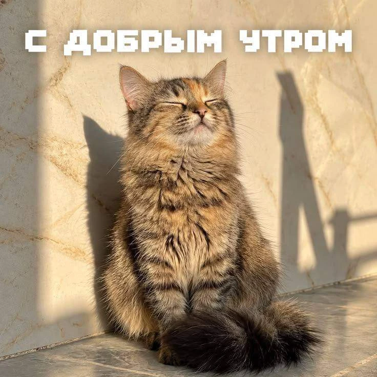 Доброе утро, Оренбург!