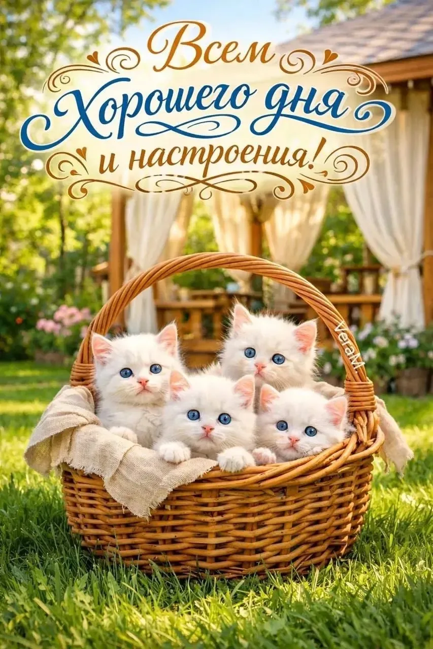 Ставь 👍, если нравится открытка и делись с близкими!