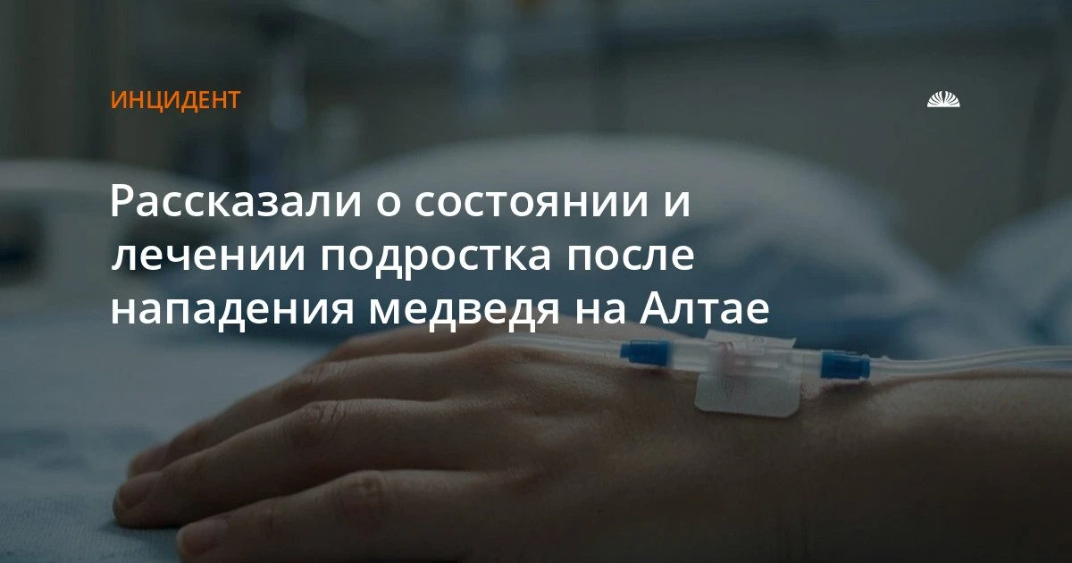Подросток, на которого напал медведь, в тяжелом состоянии в Москве