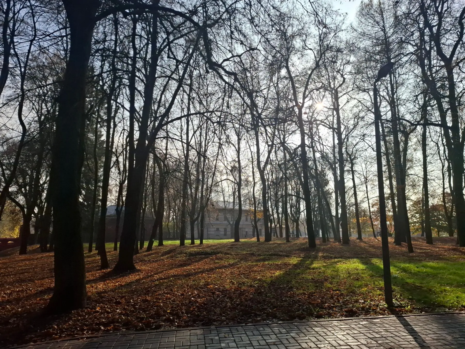 🍁Осень в Краснопахорском