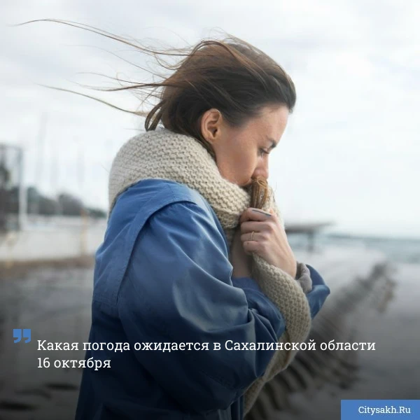 🌬️ Сильный ветер ожидается в нескольких районах Сахалинской области.