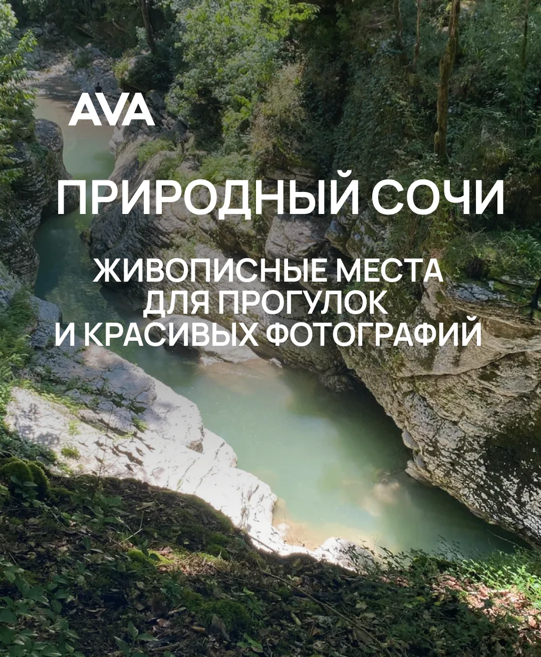 Гид по природным достопримечательностям Сочи 🌿