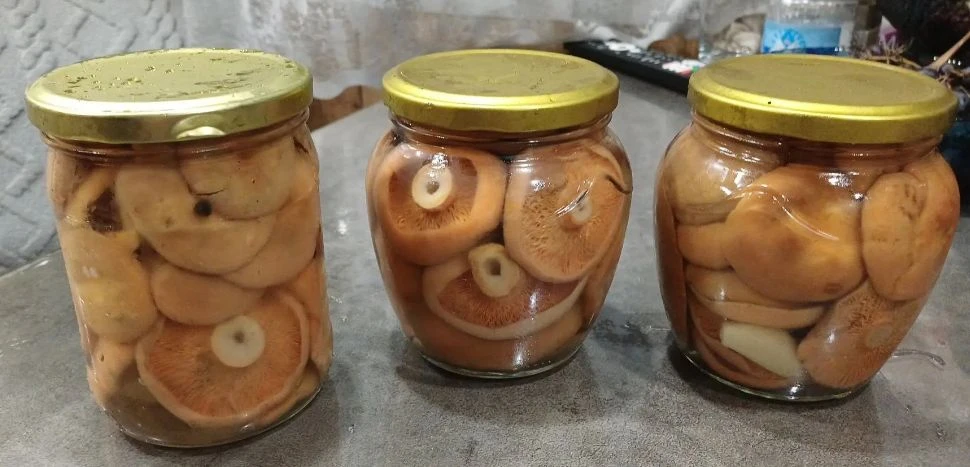 Продам соленые грибы. Грузди, рыжики – 2000 руб./л. Маринованные маслята 700 руб./0,5 л...