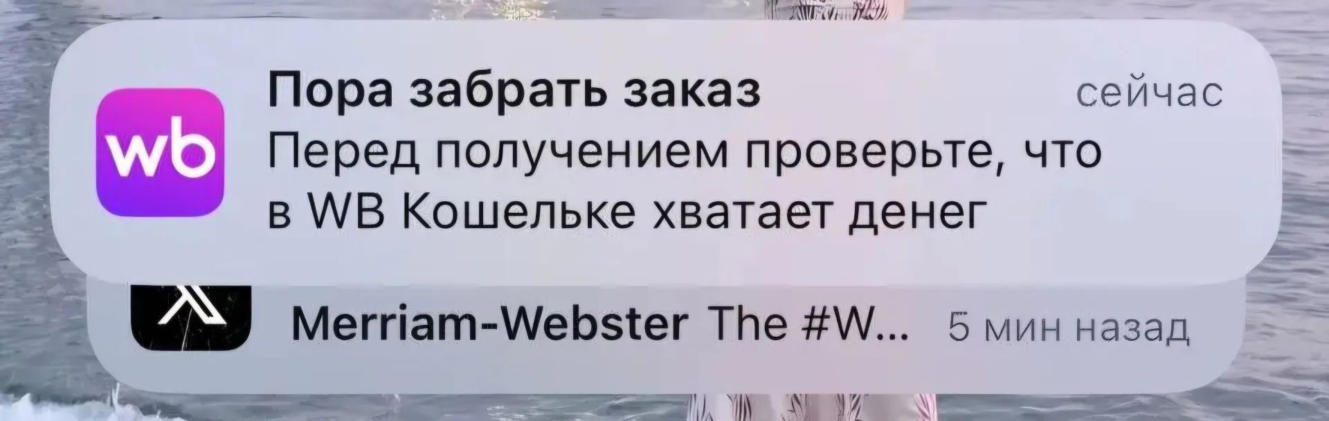 Фура которая смогла 🙏 До Севастополя доехали покупки на WB которые заказывали месяц на...