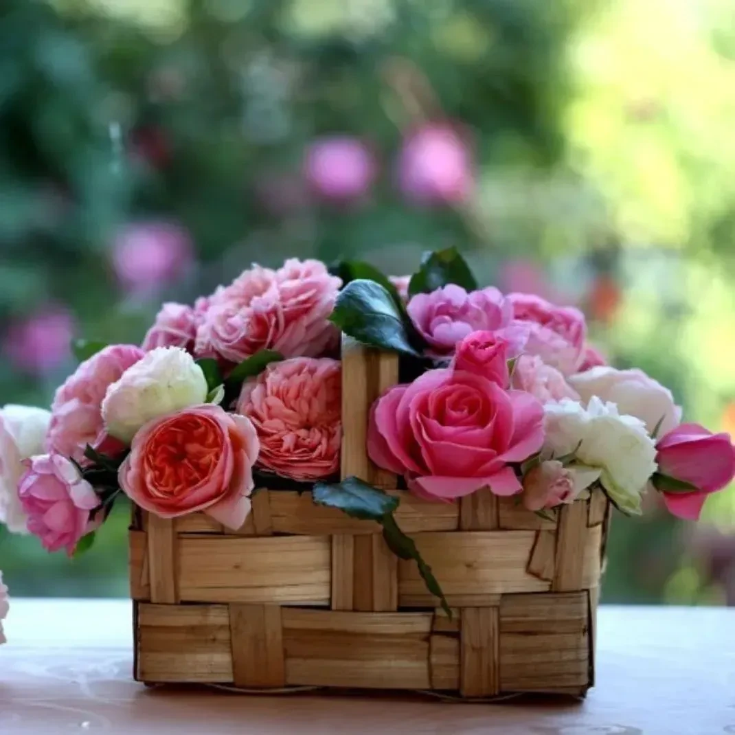 Приглашаю всех в группу💕все о цветах 💐 овощах 🍅семенах 🌾 и растительного происхожде...