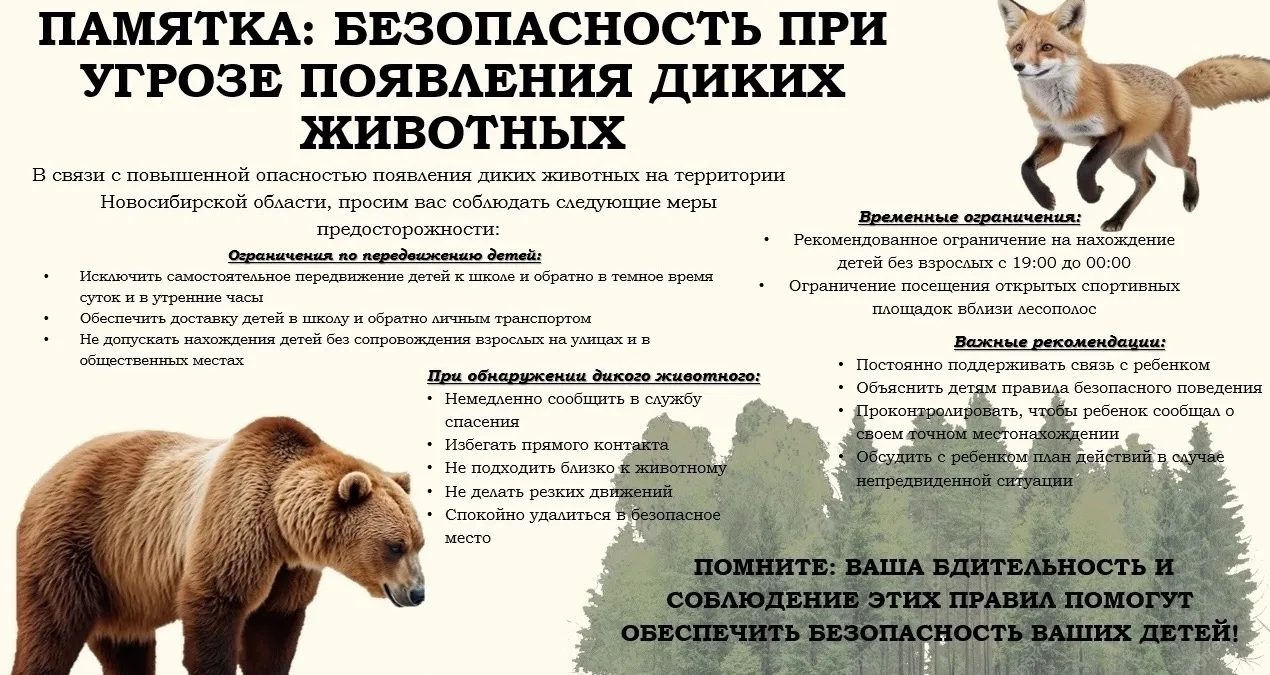‼️ В связи с участившимися случаями выхода диких животных к населенным пунктам просим в...