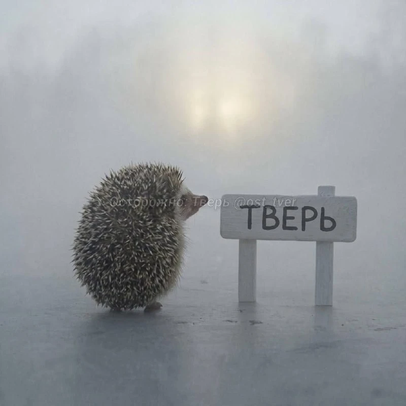 ⚡️Экстренное предупреждение выпустили МЧС