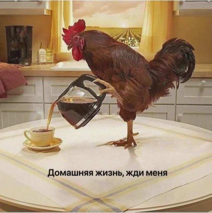 Фото и видео боёв признали запрещёнными