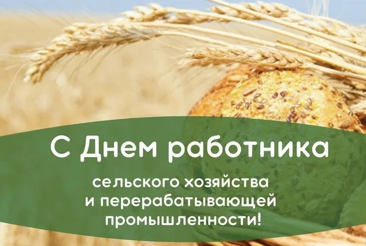 Дорогие труженики и ветераны  агропромышленного комплекса Кабардино-Балкарской Республики!
