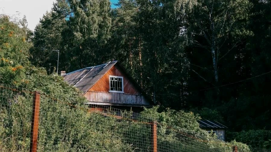 🏠 Соликамец получил срок за свидание на чужой даче