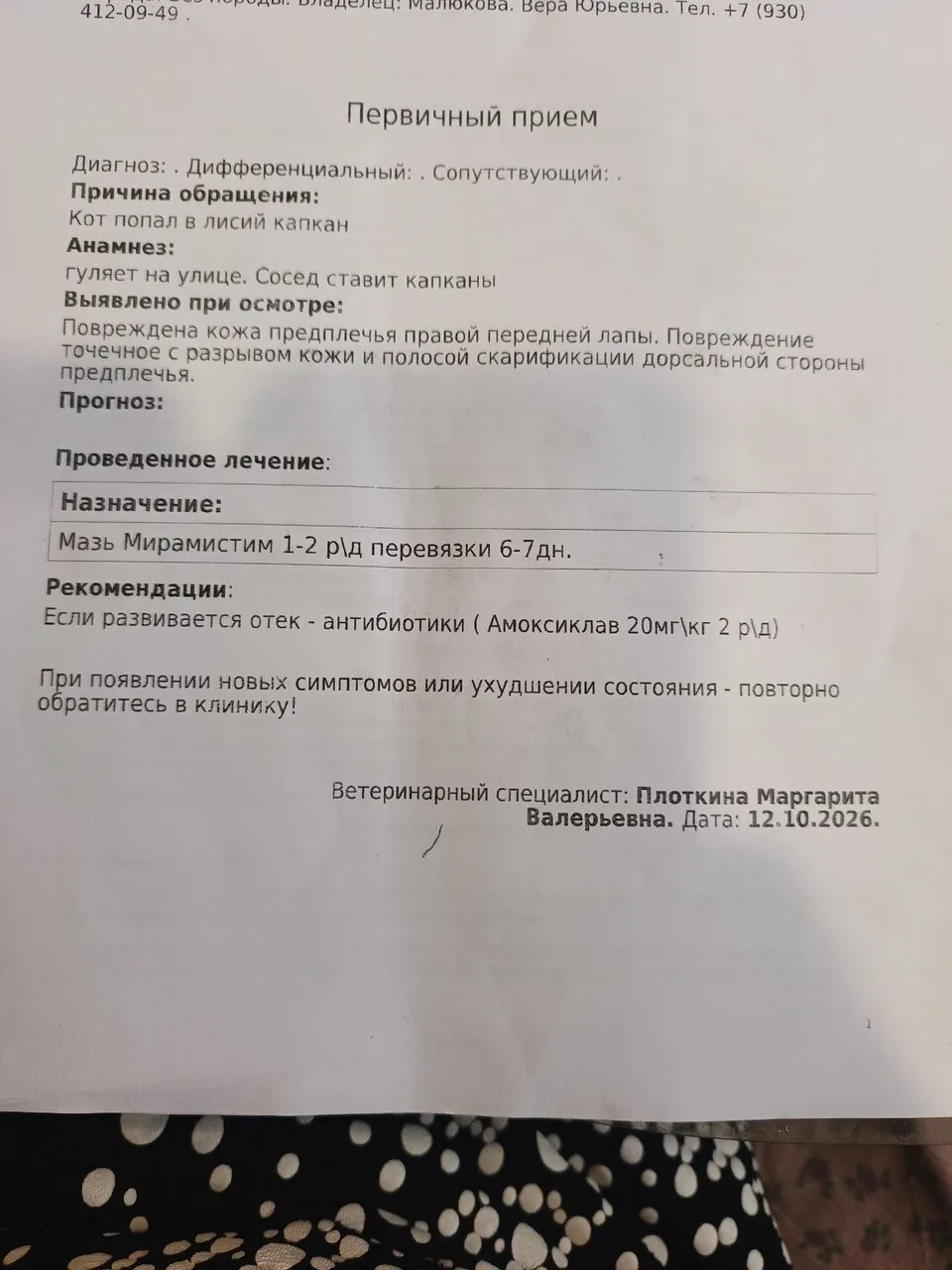 🚨 SOS: сосед ставит капканы на котов — мои питомцы уже пострадали!