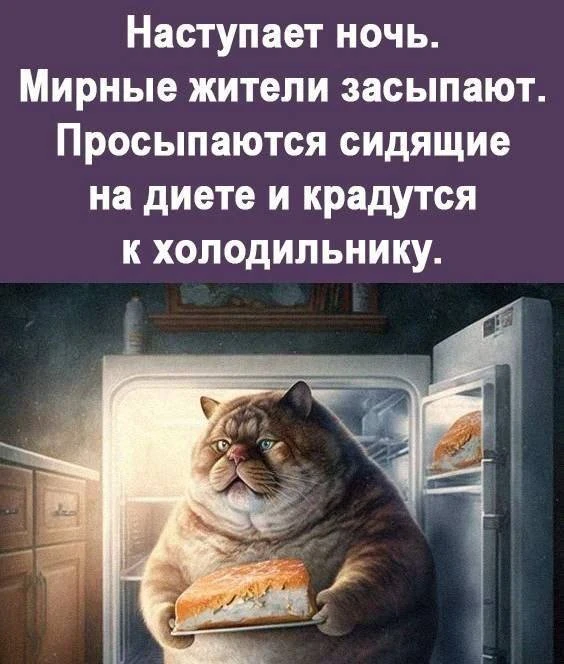 Мемы каждый день • Подписаться
