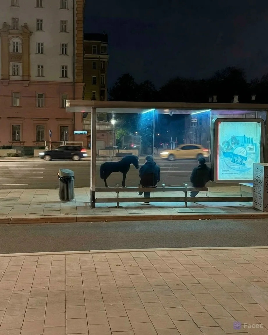 Фраза "работать, как лошадь" заиграла новыми красками. Видимо, со смены на заводе возвр...