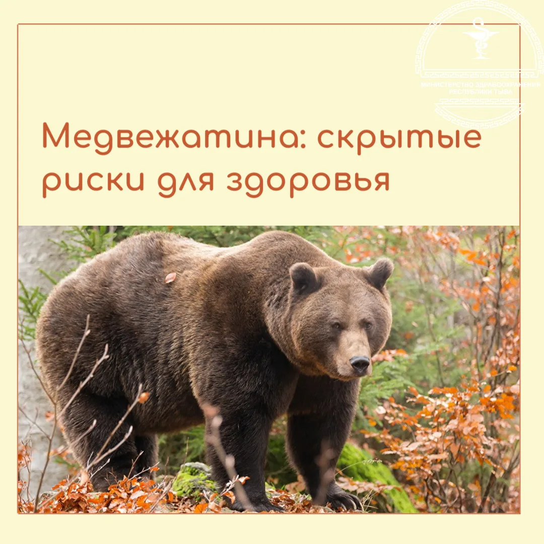 🐻Медвежатина: деликатес или риск?
